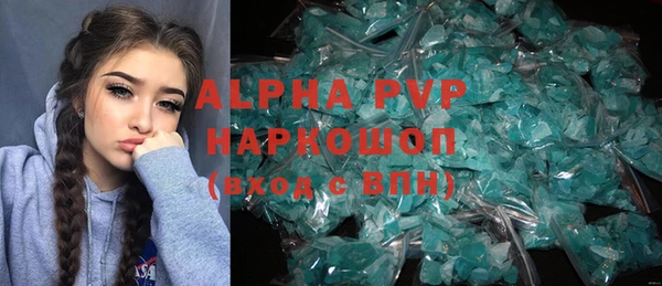 прущие крисы Бородино