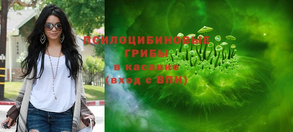 прущие крисы Бородино