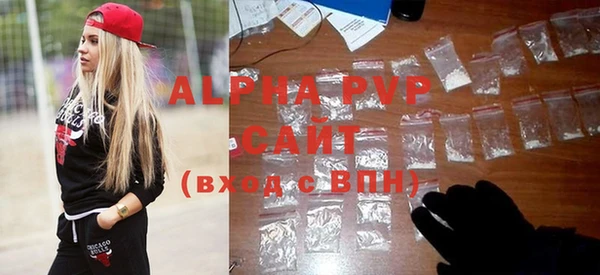 прущие крисы Бородино