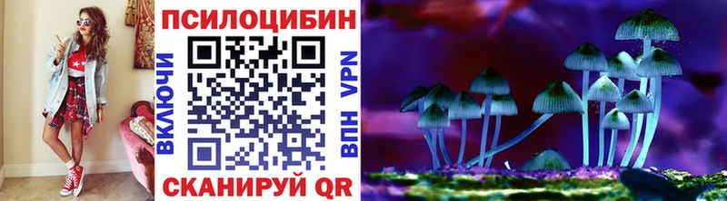 Галлюциногенные грибы Magic Shrooms  ОМГ ОМГ tor  Наро-Фоминск  цены  